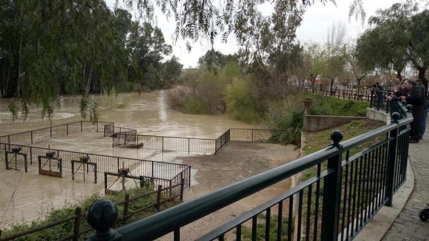 El Pleno reclama la limpieza del cauce del Genil