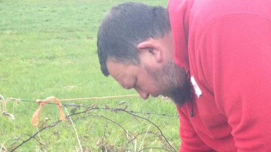 El perro «Tifón» rastrea el lugar del suceso. A la derecha, «Brisa» inspecciona una finca de Llamero. / s. a. g.