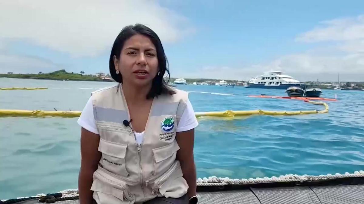 Funcionaria del Parque Nacional Galápagos habla del tratamiento de posible derrame de diesel