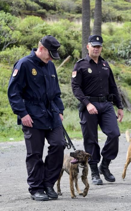 Reportaje a la Unidad Canina de la Policia ...