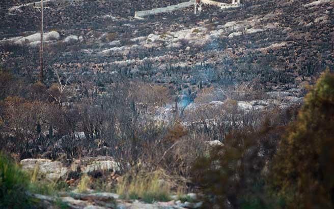 Pollença nach dem Waldbrand