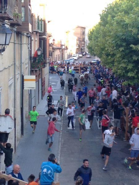 Toro de cajón y encierro urbano en Toro