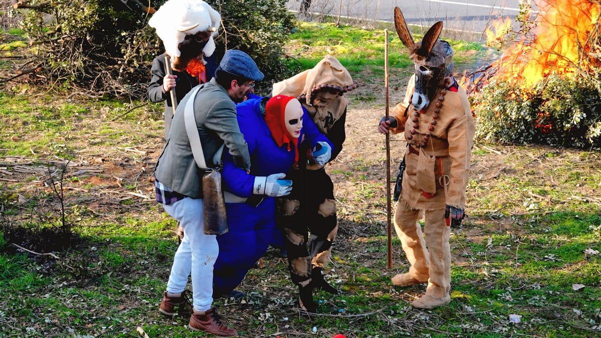 GALERÍA | El Toro de Carnaval de Morales de Valverde, en imágenes