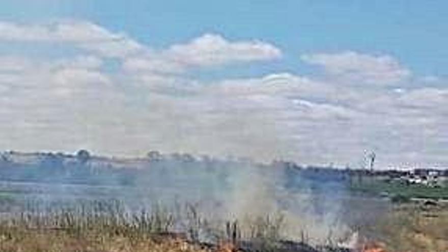 Fuego declarado ayer en Pinilla.