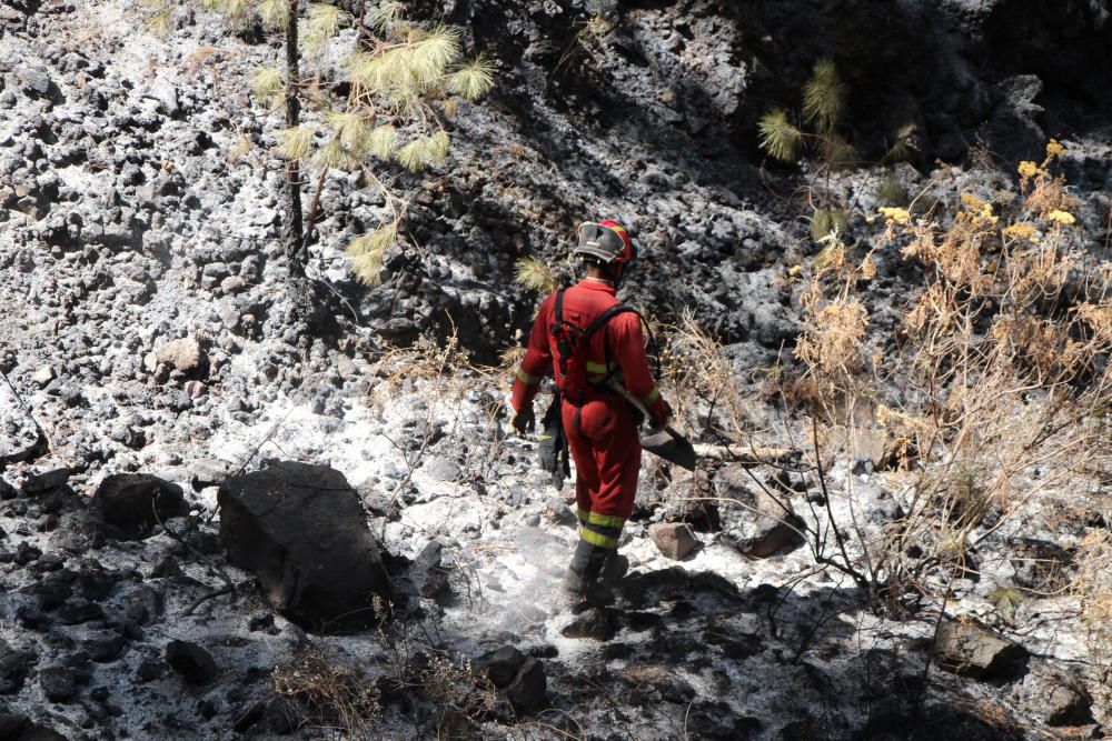 Incendio en Garafía | Domingo