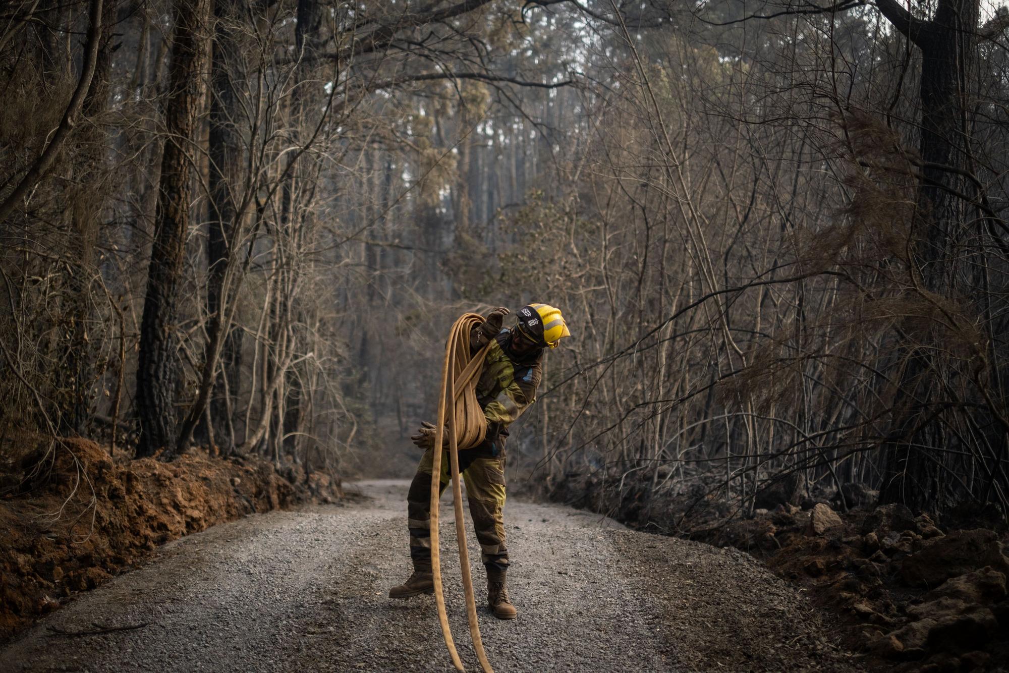 Labores de enfriamiento en Ravelo del incendio de Tenerife