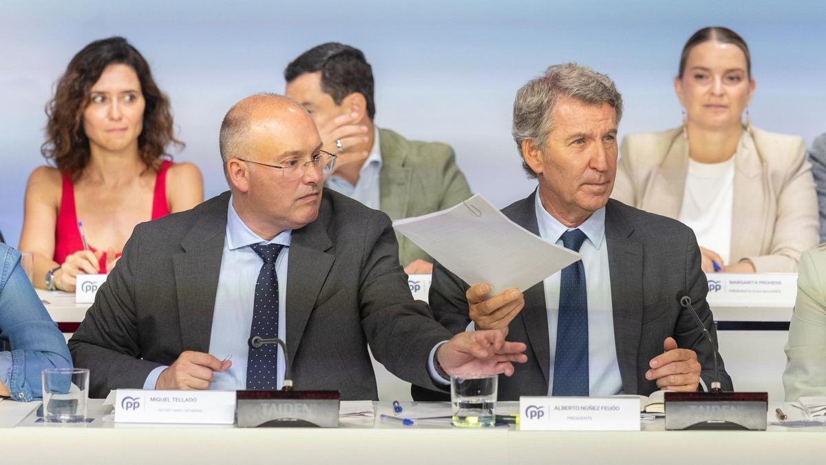 Archivo - El presidente del PP, Alberto Núñez Fiejóo, acompañado por el secretario general del PP, Miguel Tellado.