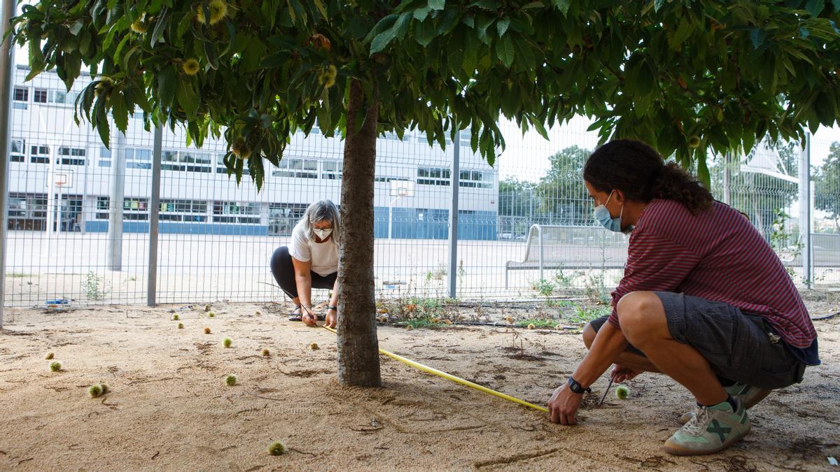Dos profesoras de la escuela Lledoner de Granollers toman medidas para del patio para renovarlo