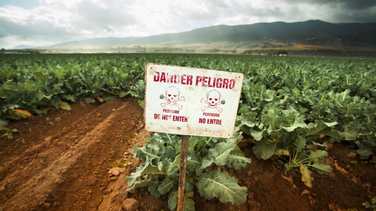 Cultivo donde se han aplicado pesticidas