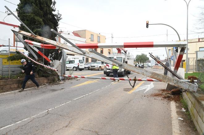 Un camión se lleva por delante un arco en el Grupo Lourdes de Castelló