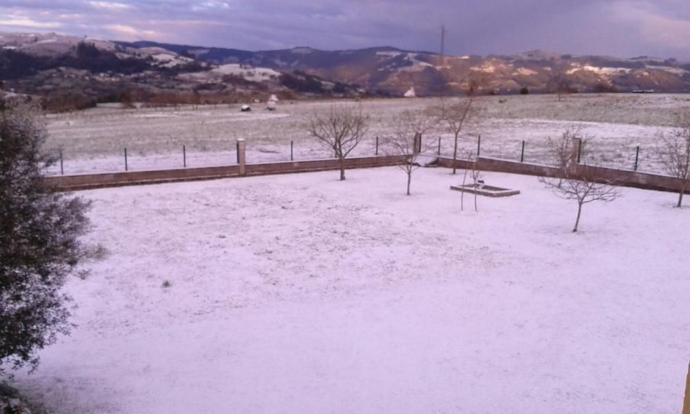 Lugares del concejo de Villaviciosa amanecen cubiertos por un manto blanco.