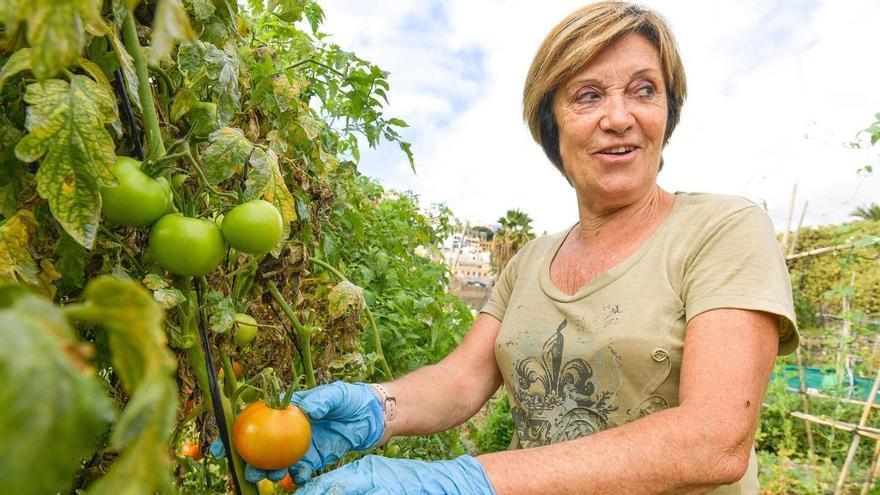 Tomates que saben a gloria