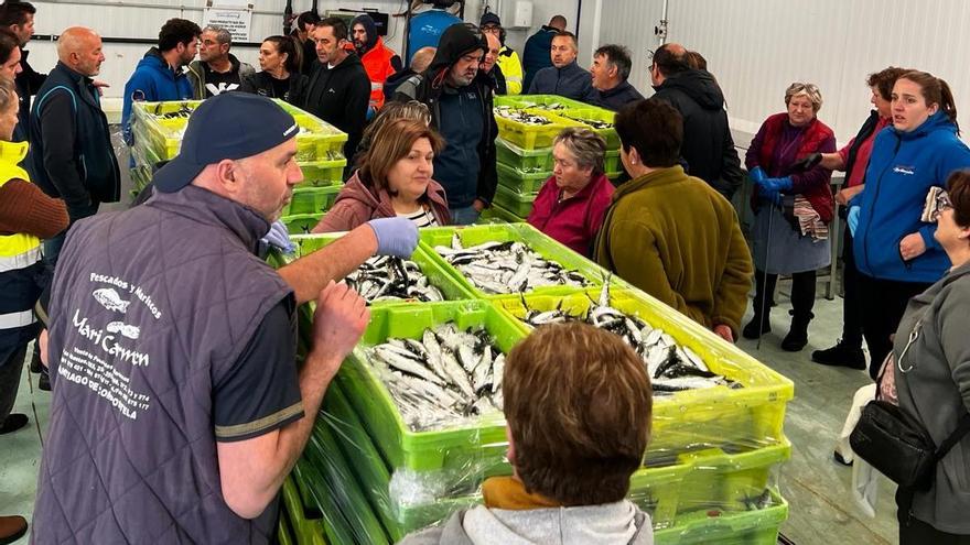 Participantes en una subasta de sardinas celebrada este lunes en la lonja de Ribeira