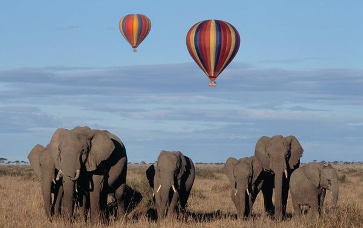 Masai Mara, explosión de vida salvaje