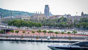 Cinc projectes competiran per dissenyar el futur Liceu Mar