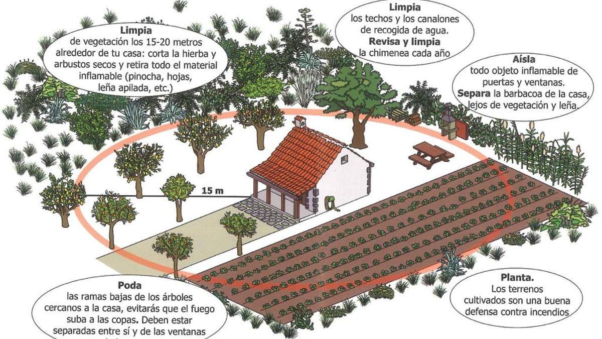 Infografía del Cabildo sobre medidas de prevención contra los incendios forestales.