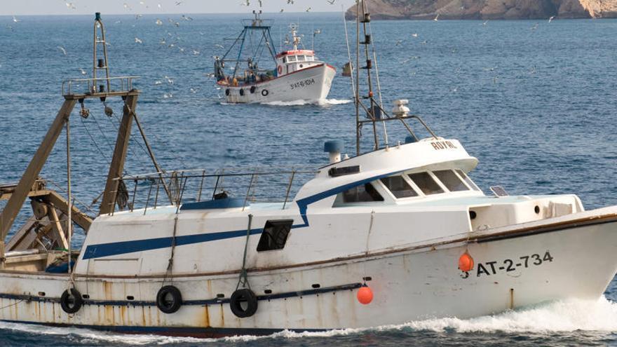 Barcas pesca arrastre entran en el puerto Altea