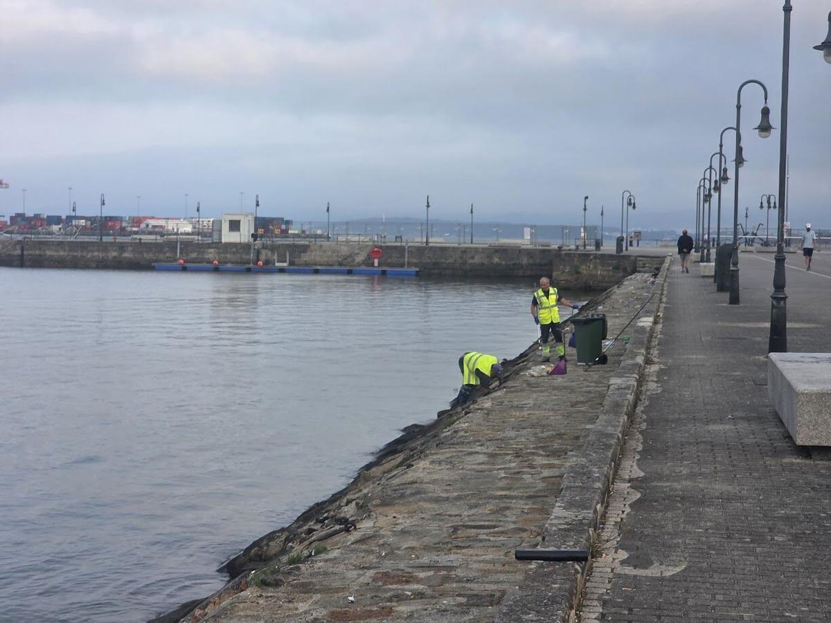 La Autoridad Portuaria se encarga finalmente de eliminar la basura acumulada en el Muelle de Pasajeros desde la Fiesta del Agua. La Autoridad Portuaria se encarga finalmente de eliminar la basura acumulada en el Muelle de Pasajeros desde la Fiesta del Agua.