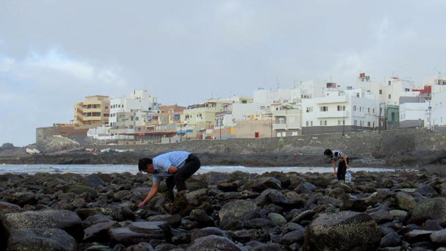 Los ecologistas alertan del marisqueo a pie de playa en el Norte