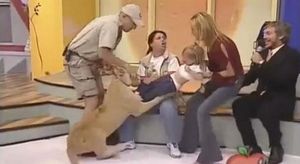 Un lleó ataca una nena en directe a la televisió mexicana. 
