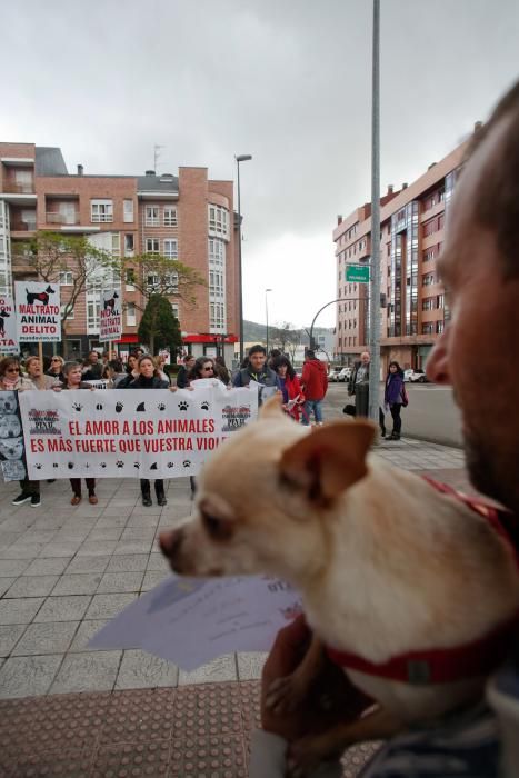 Manifestación contra el maltrato animal