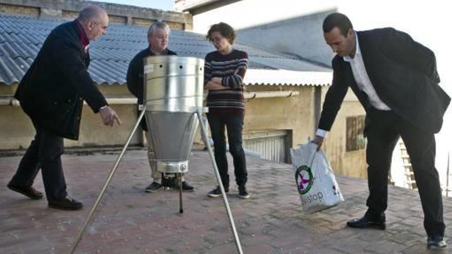 El pienso esterilizador reducirá las palomas en un 80% en cuatro años