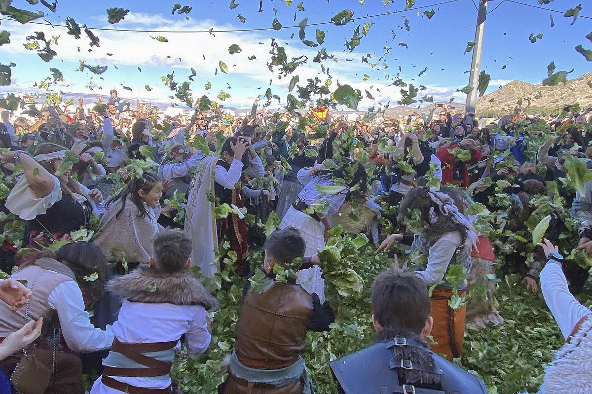 Lechugas al cielo para una batalla campal en Villena