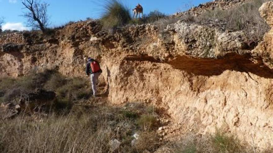 Los arqueólogos han realizado prospecciones para buscar recursos en el sur de Alicante.