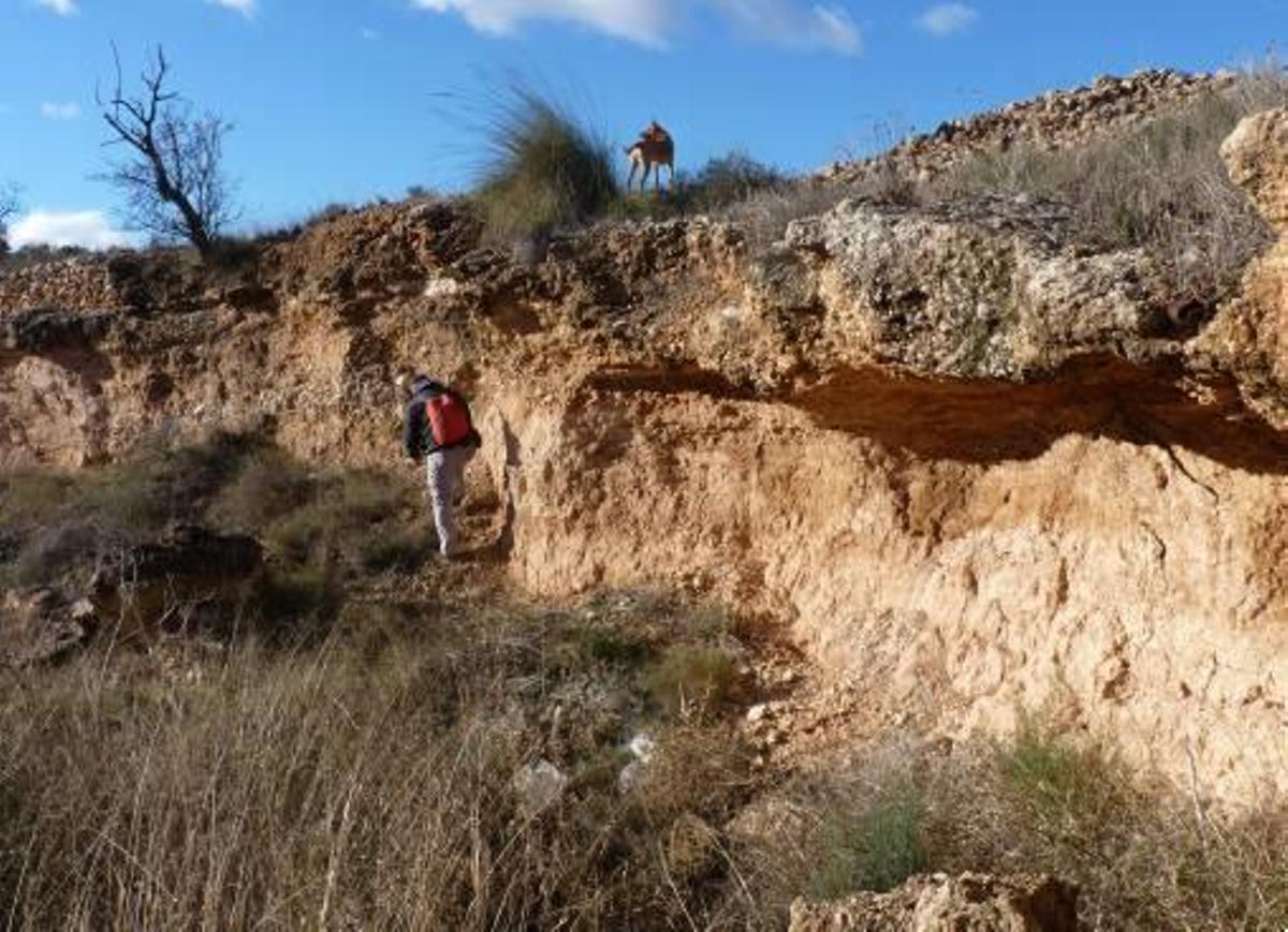 Los arqueólogos han realizado prospecciones para buscar recursos en el sur de Alicante.