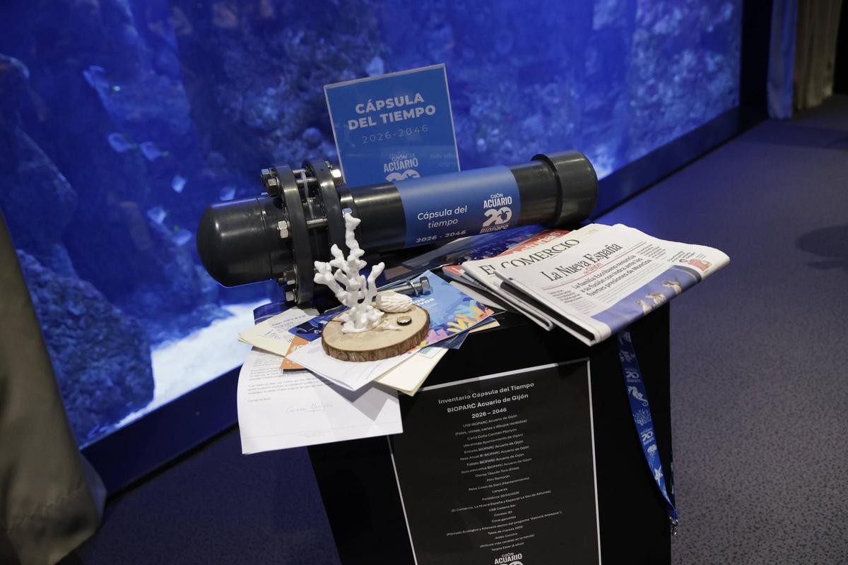 Así sumergieron los buzos del Acuario la cápsula del tiempo en el oceanario, en imágenes. Así sumergieron los buzos del Acuario la cápsula del tiempo en el oceanario, en imágenes.