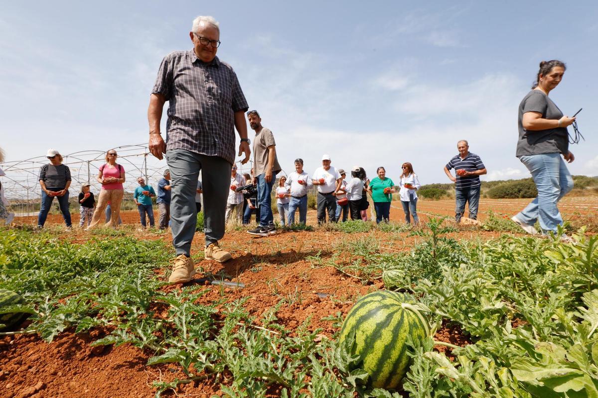 Visita guiada a la finca hortícola de Can Pol en Ibiza