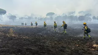 Desalojados dos barrios de Las Navas del Marqués por la cercanía del incendio de Ávila
