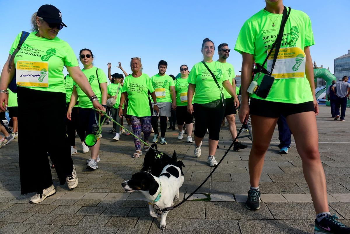 Marea verde contra el cáncer con más de 3.000 personas