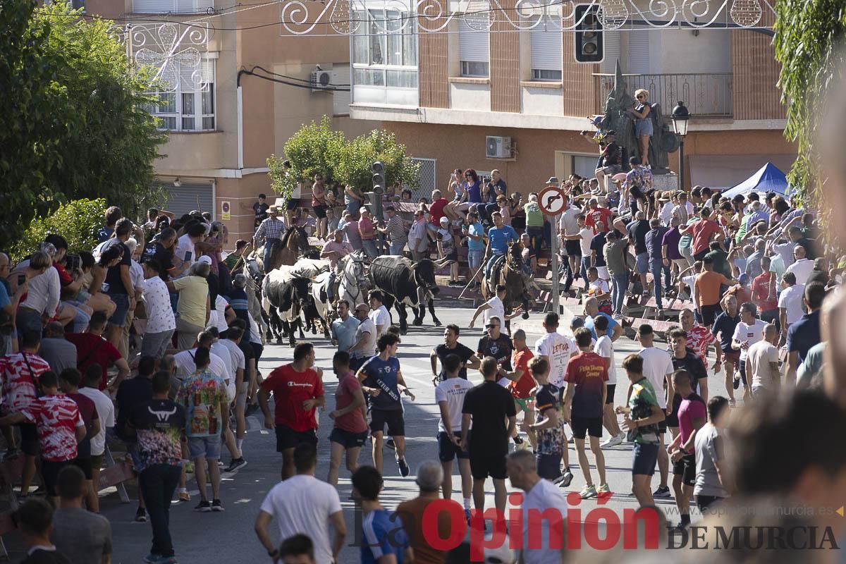 Tercer encierro de las Fiestas de Moratalla