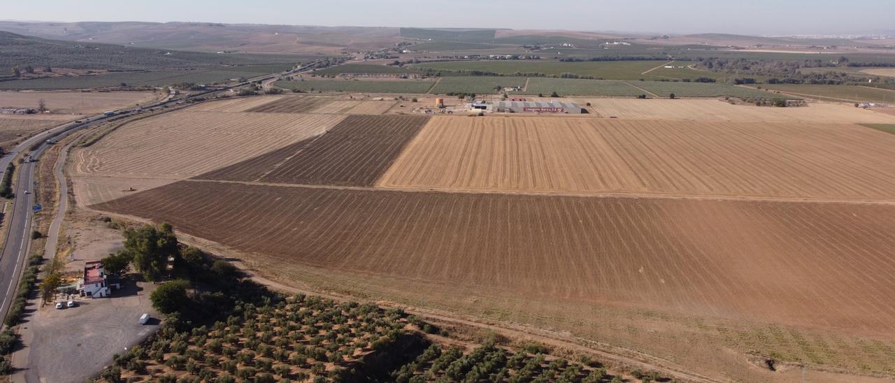 Terrenos de La Rinconada en los que se levantará la base logística del Ejército de Tierra.