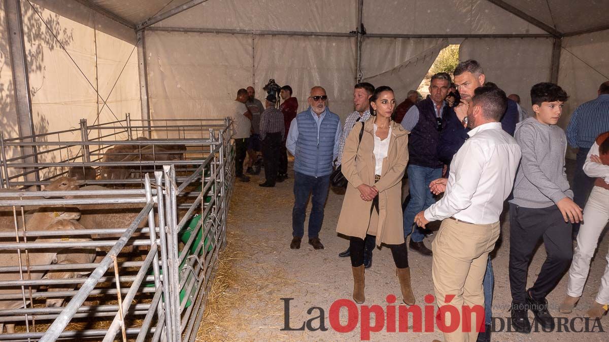 Así se ha vivido la Feria de Cordero Segureño en la pedanía caravaqueña de Archivel