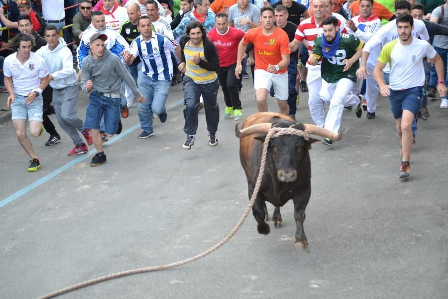 Enmaromado 2016: Lechugazo da la talla