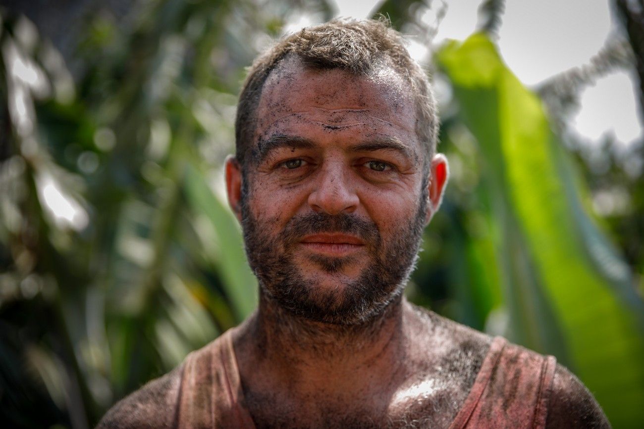 Agricultores recogen los plátanos de sus fincas llenas de ceniza del volcán en erupción en La Palma