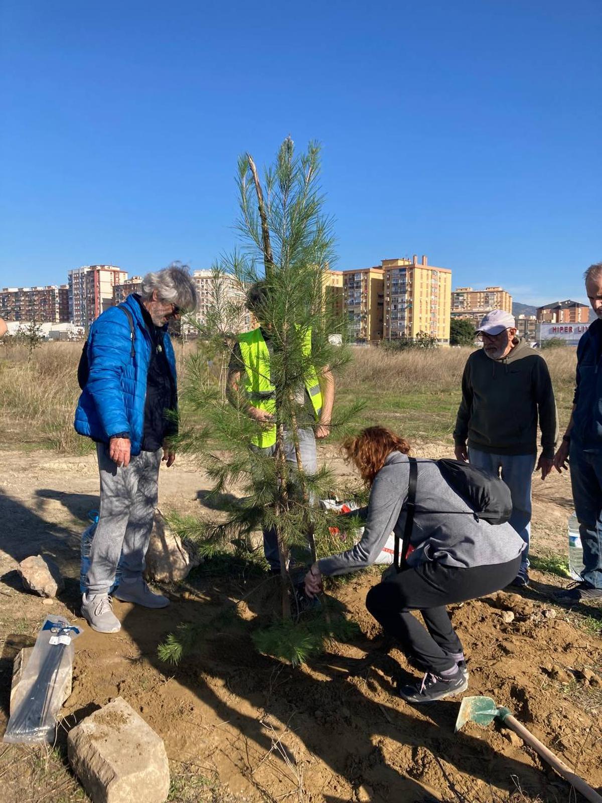 Bosque Urbano planta otros 30 árboles en los antiguos terrenos de Repsol