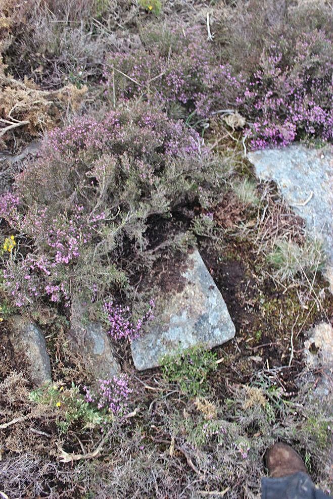 Pedras (ortoneis) localizadas a carón da mámoa que se poden confundir con materiais da mesma.
