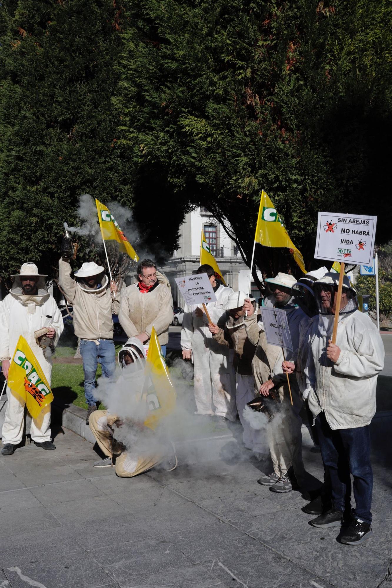 EN IMÁGENES: Así fue la protesta de apicultores en Oviedo