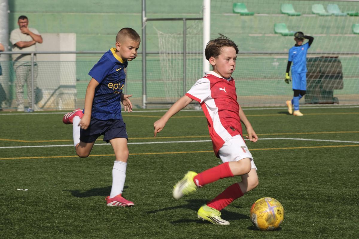 Imatges de la TEA Football Cup 2026 de Sant Fruitós