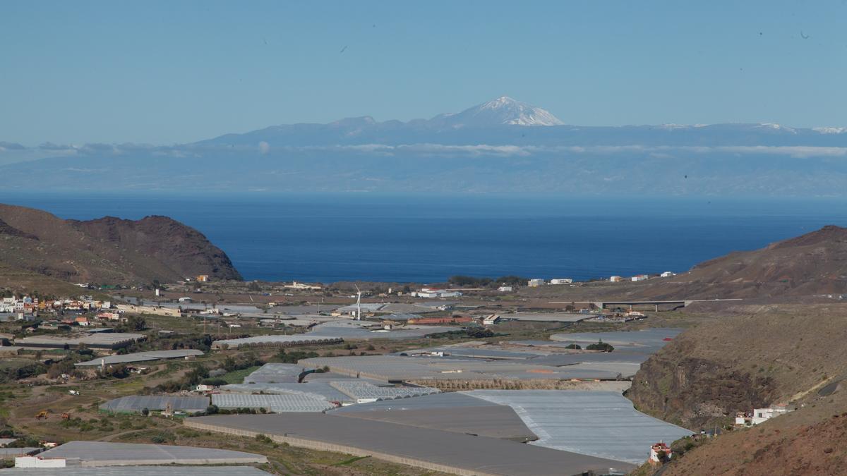 Plantaciones agrarias en Canarias