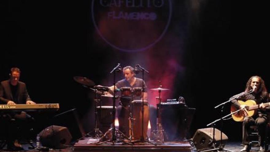 Cafelito Flamenco en concierto