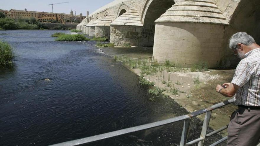 Llega a Córdoba el vertido más grave que sufre el río en dos décadas