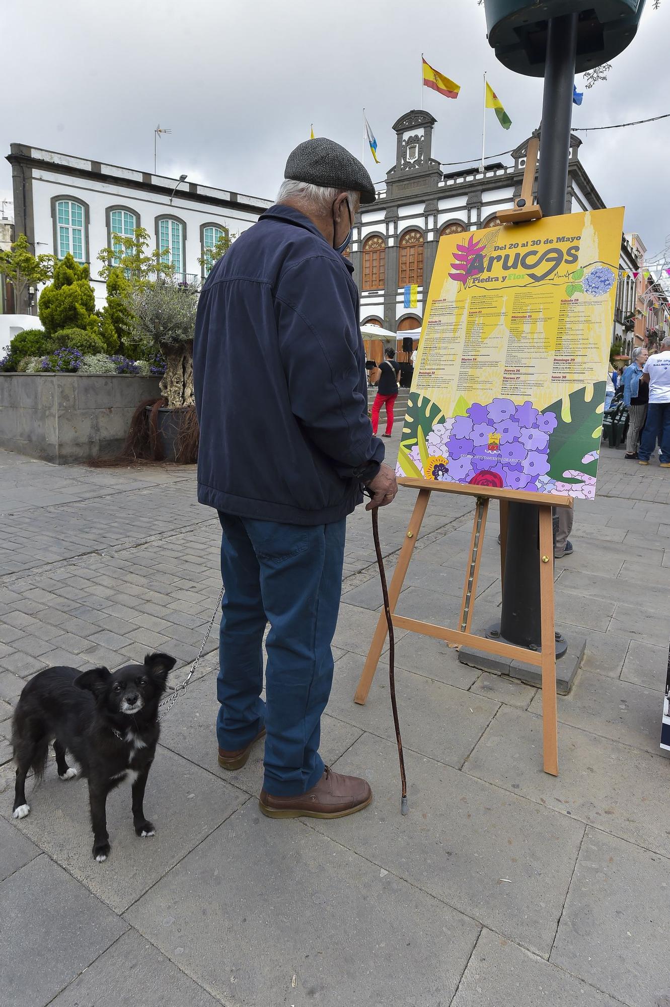 Arucas vive una semana dedicada a la música, la jardinería y la piedra de cantería