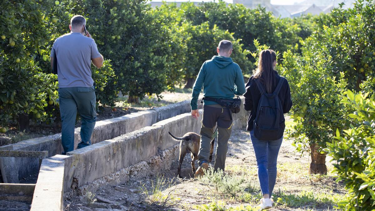 La Guardia Civil reanuda la búsqueda de Marta Calvo en un pozo de 60 metros de profundidad