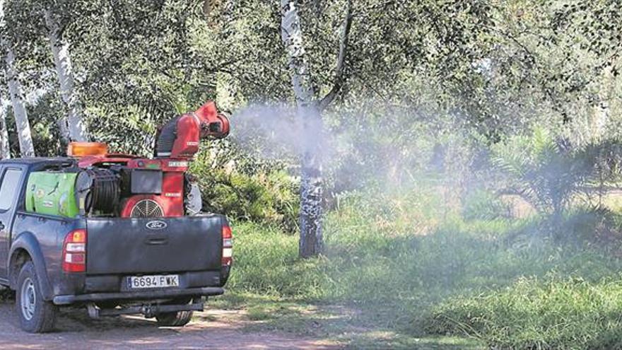 La campaña provincial contra los mosquitos arranca hoy en Burriana
