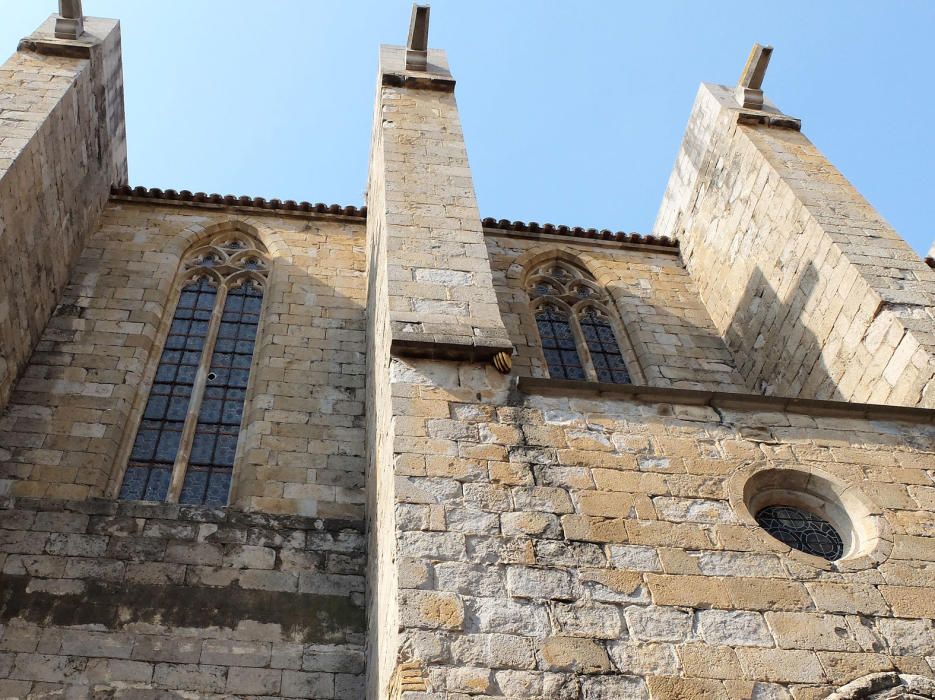 Ruscs d'abelles a la Basílica de Castelló d'Empúries