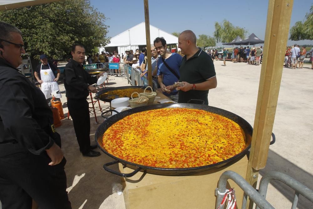 Festa de la Sega de l'Arròs